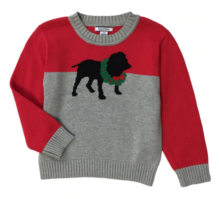 Boys' Holiday Sweater